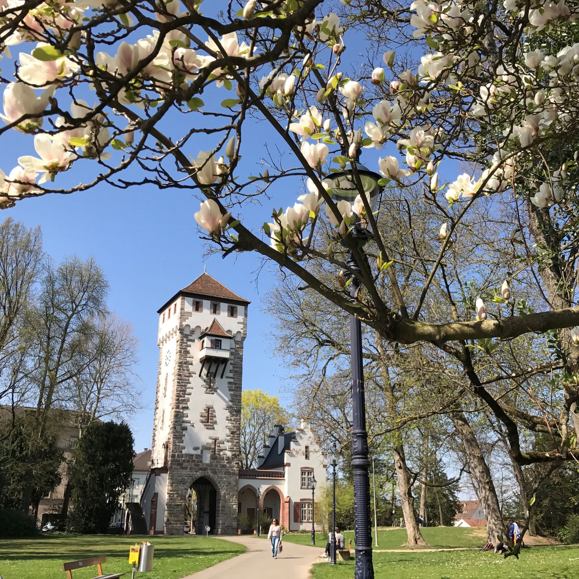 St. Alban-Tor Basel_28