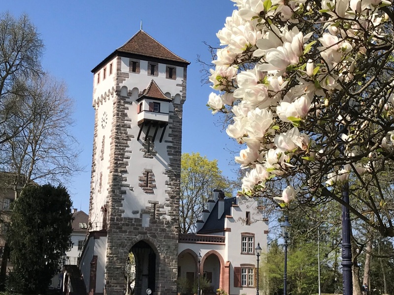 St. Alban Tor Zuhasue von Spezi Clique